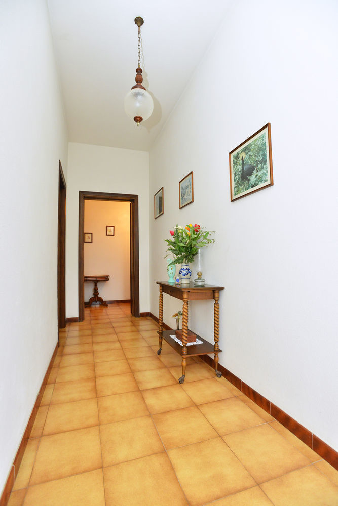 Izzhome Cozy Sunflowers プーラ エクステリア 写真